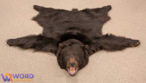 bear rug