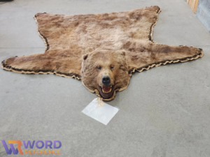 bear rug